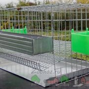 Furaje verde hidroponice în creșterea oilor
