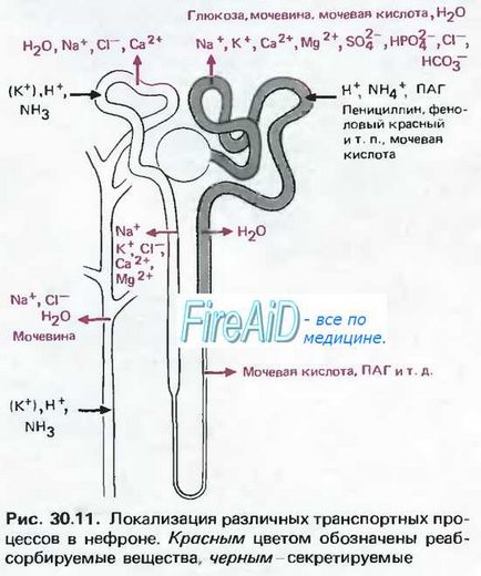 Гіпохлоремія у дітей - причини, діагностика, лікування