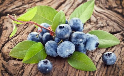 Afine - proprietăți utile de fructe de pădure pentru sănătate