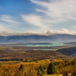 Pisică montană