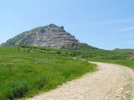 Șarpe montane, călător