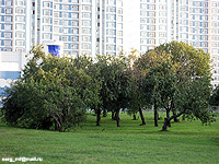 History Chertanov (chertanovtsy) History Chertanov