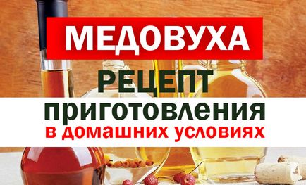 Які бувають вулики для бджіл