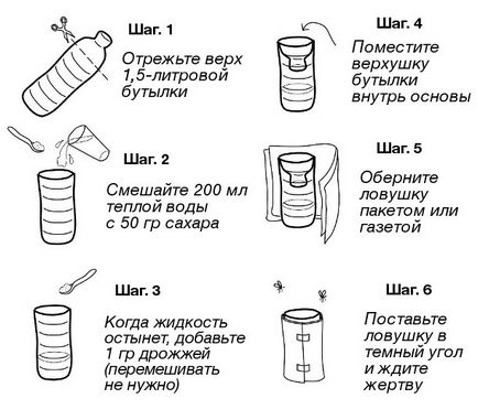 Як позбутися від комарів без отруйної «хімії» 9 крутих способів - фактрум