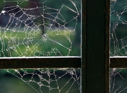 Cum să scapi de păianjeni într-o casă privată, respingătoare de insecte