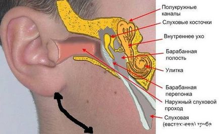 Як позбутися від сверблячки в вухах