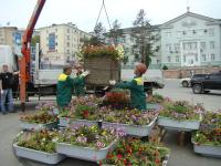 Cum pot face un pat de flori pe mai multe niveluri cum să aranjez florile într-un pat de flori cu mai multe straturi