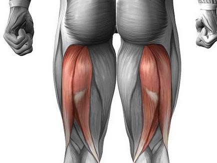 Як накачати стегна, вправи для внутрішньої і зовнішньої частини стегна
