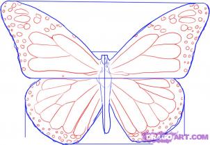Cum de a desena un fluture in creion pas cu pas pentru incepatori