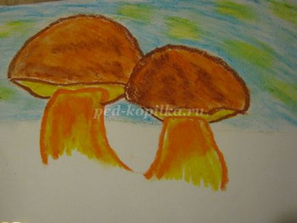 Cum de a desena un pastel de ciuperci în etape cu o fotografie