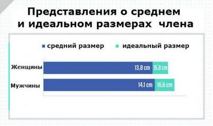 Як правильно вимірювати довжину чоловічого статевого члена