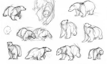 Як малювати ведмедя красиво