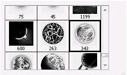 Cum sa faci un efect de vis si mistic asupra fotografiei - Trinitatea