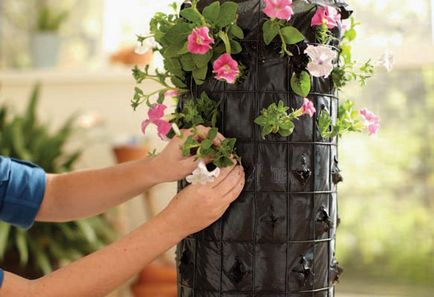 Як зробити в саду вежу з квітів