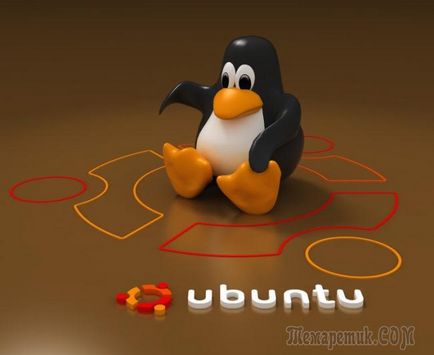 Hogyan kell telepíteni az Ubuntut az új laptop a Windows 8