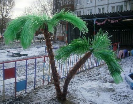 Як виростити бананові, кокосові пальми на дачі в росії
