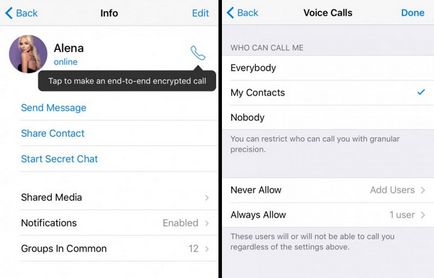 Cum să activați apelurile vocale în telegramă
