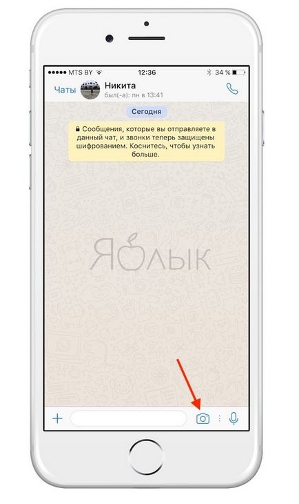 Hogyan WhatsApp iphone hozhatunk létre és küldhetünk gif-képek (SIFCO), alma hírek