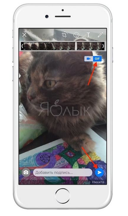 Ca și în ceea ceapta pe iPhone pentru a crea și a trimite gif-imagini (hyphs), știri Apple