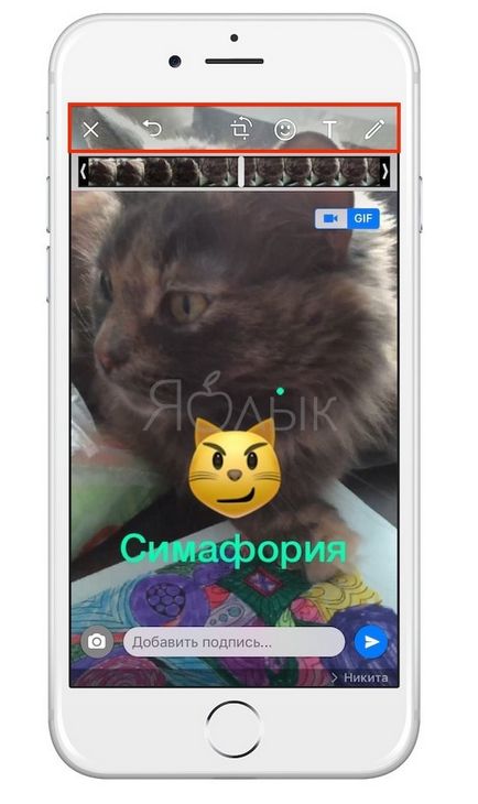 Як в whatsapp на iphone створювати і відправляти gif-картинки (гифки), новини apple