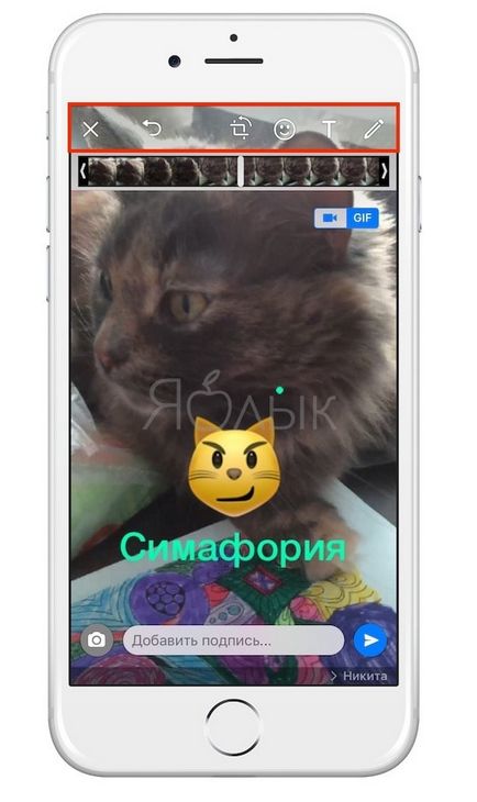 Как да WhatsApp за iphone за създаване и изпращане на GIF-картини (SIFCO), ябълка новини