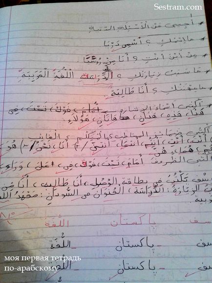 Як я вчила арабську мову