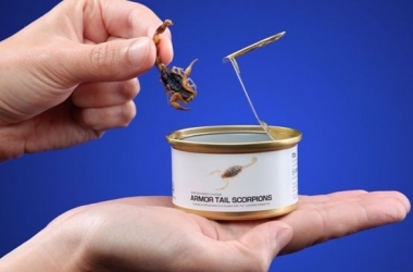 Cum să faci bani pe insecte de reproducere