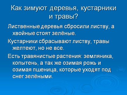 Як зимують дерева, чагарники і трави - презентація 22637-5