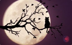 Tarot - egy hatékony eszköz a diagnózis és a kezelés a betegség (a személyes horoszkóp) Tarot - egy hatékony eszköz a diagnózis és a kezelés betegségek