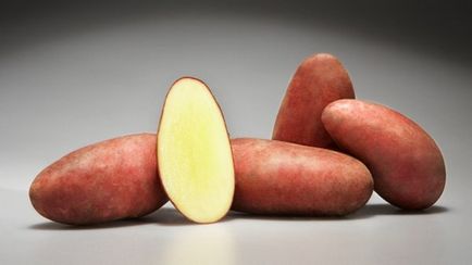 Potato - Desire Descriere soi, fotografie, descriere detaliată și istoric de origine