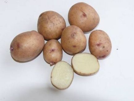 Картопля пикассо опис сорту, фото
