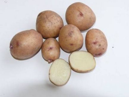 Potato Picasso Variety Descriere, Foto