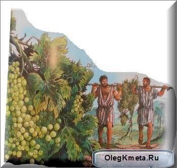 До чого призводить непослух і нарікання на бога, активний відпочинок на природі під харковом