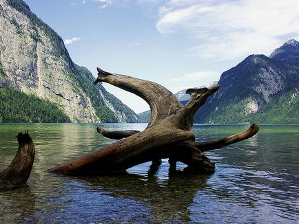 Königssee - cel mai curat lac din Germania (29 fotografii)