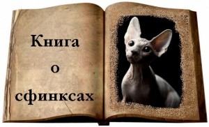 Книга про сфінксів сфінкс - який він загальний опис голих кішок - донський сфінкс Крисік