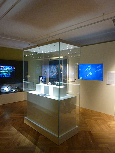 Proiectarea complexă a muzeelor ​​de alegere a conceptelor și a echipamentelor