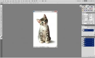 Számítógép - ez csak -, hogyan kell vágni a haját Photoshop (Photoshop vágott haj) Számítógép - ez csak -, hogyan kell vágni a haját Photoshop