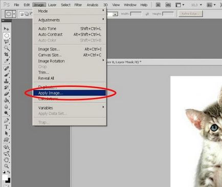 Számítógép - ez csak -, hogyan kell vágni a haját Photoshop (Photoshop) Számítógép - ez csak -, hogyan kell vágni a haját Photoshop