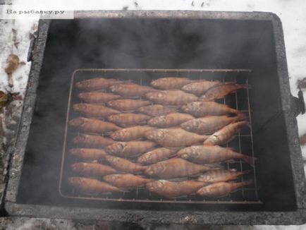 Smokehouse füstölt hal fajok, olaj lámpák meleg és hideg füstölt, recepteket és tippeket