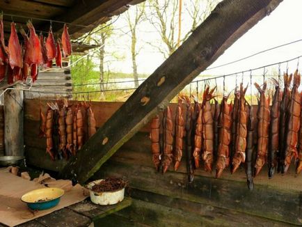 Smokehouse füstölt hal fajok, olaj lámpák meleg és hideg füstölt, recepteket és tippeket