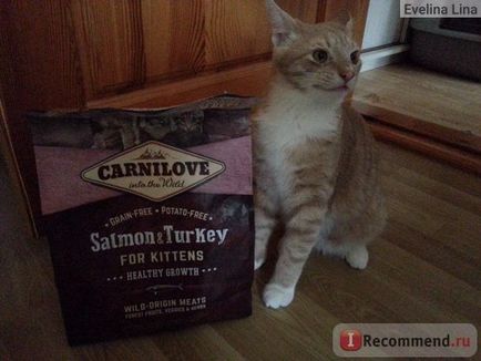 Корм для кішок carnilove salmon and turkey for kittens - «carnilove здоровий кошеня (фото) до 60%