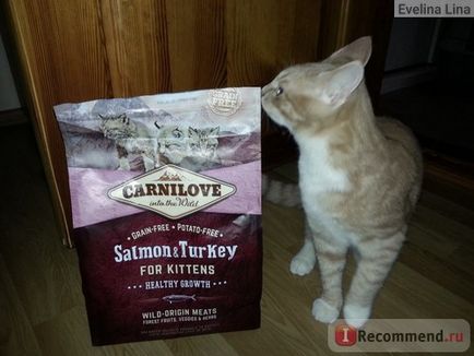 Корм для кішок carnilove salmon and turkey for kittens - «carnilove здоровий кошеня (фото) до 60%