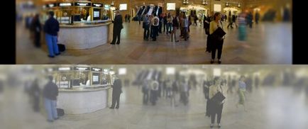 A macskák látnak a sötétben, mint infoglaz nap (délután) A macskák látnak a sötétben, mint nap infoglaz