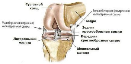 Răsucirea ligamentului articulației genunchiului, ruptura, ruperea, întinderea și modificările degenerative