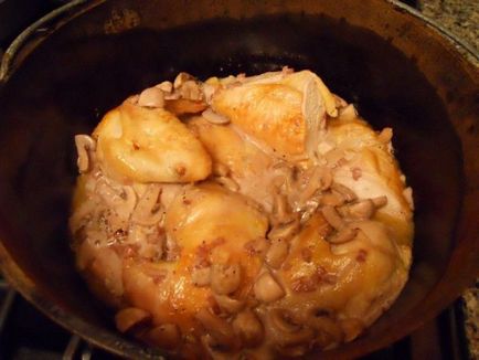 Csirkemell gombával, tejszínnel és portói bor alapuló recept Julia Child