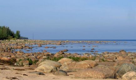 Ladoga-tó (Ladoga), fotók, nyaralás, foglalás