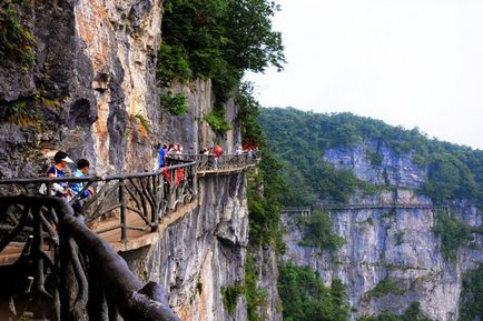 Repülő Mountain bolygó pandora