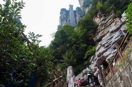 Repülő Mountain bolygó pandora