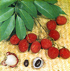 Lychee chinezesc