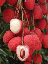 Lychee chinezesc